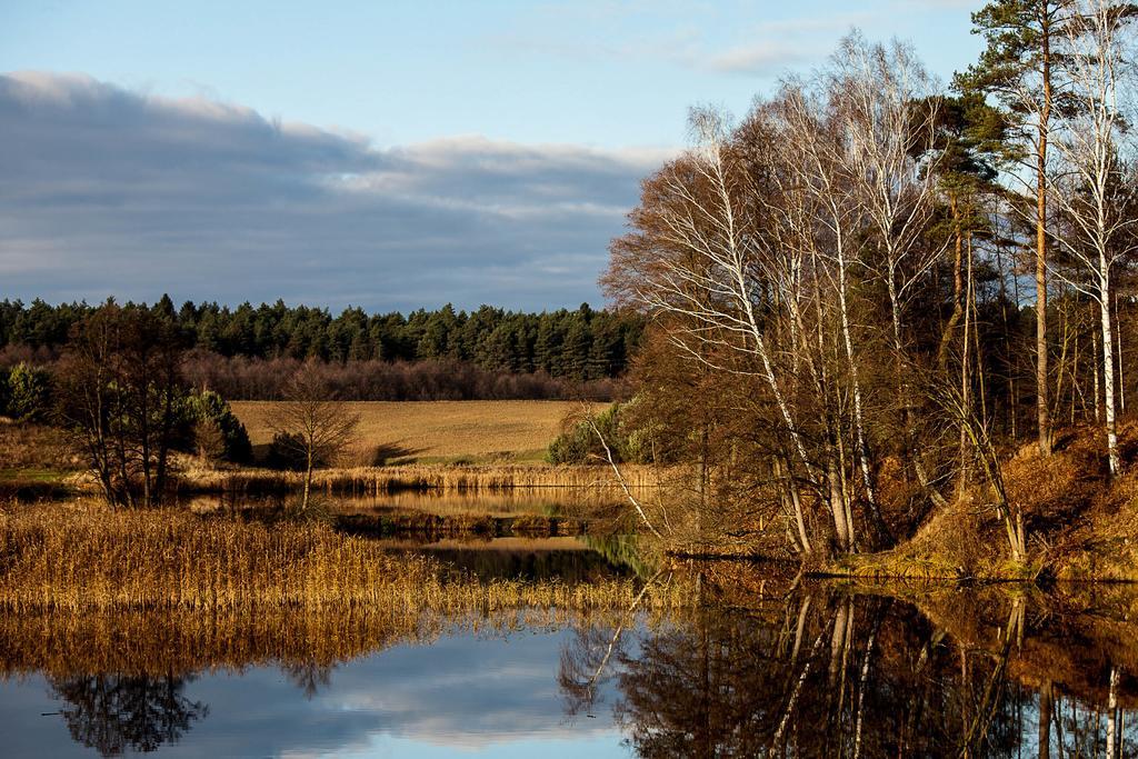 Przystanek Tlen Bed and Breakfast Eksteriør billede